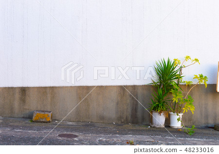 Empty interior for design, white concrete wall  48233016