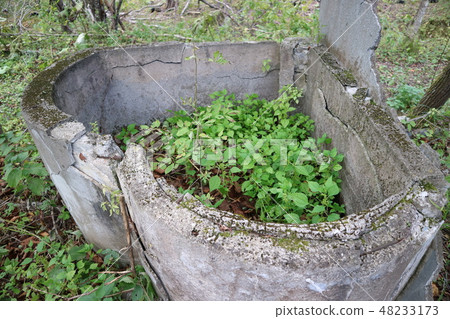 Hokkaido Tale Coal Mine Hospital 48233173