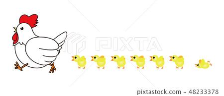 Chicken illustrations 48233378