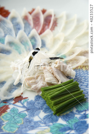 Blowfish Blowfish 48233527