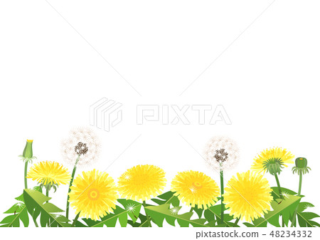 蒲公英框架(白色)_簡單 蒲公英框架(白色)_簡單 48234332