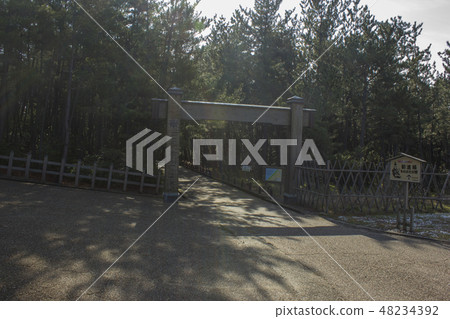 Akan's Seki 48234392