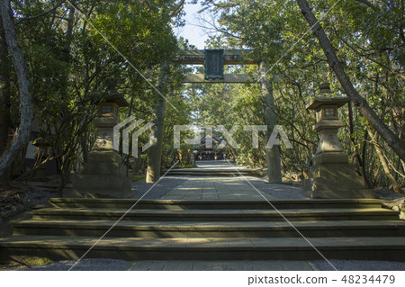 安西住吉神社 安西住吉神社 48234479