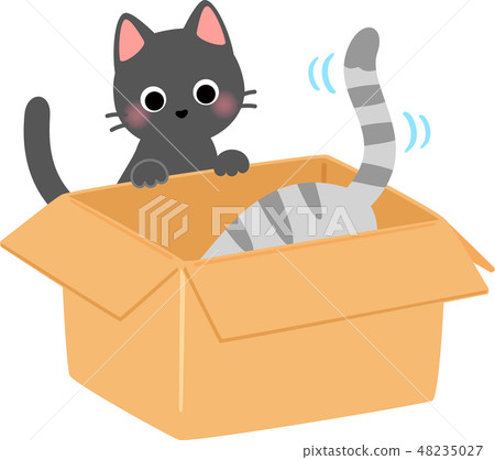 A cat entering a cardboard box 48235027