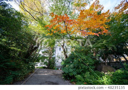 Nagao Bunko 48235135