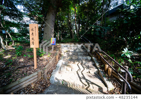 Nagao Bunko 48235144