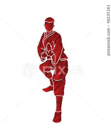 Kung fu action ready to fight front view vector 48235161