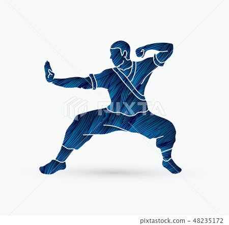 Kung fu action ready to fight  graphic vector 48235172