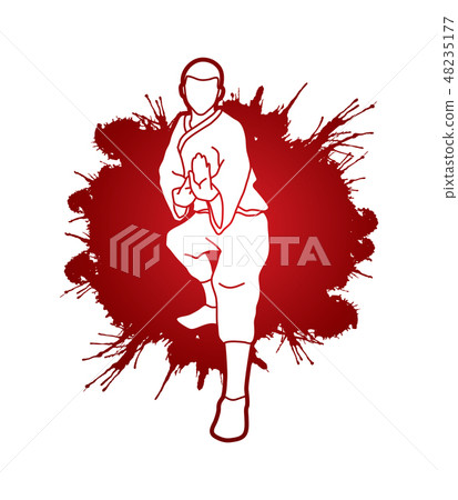 Kung fu action ready to fight front view graphic  48235177