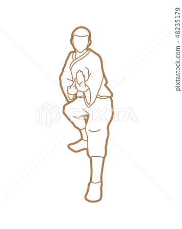 Kung fu action ready to fight front view graphic Kung fu action ready to fight front view graphic 48235179