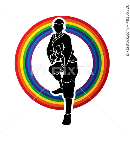 Kung fu action ready to fight front view graphic  48235826