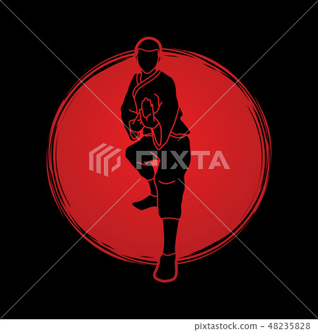Kung fu action ready to fight front view graphic  48235828