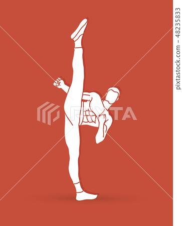 Kung fu Karate high kick front view graphic vector Kung fu Karate high kick front view graphic vector 48235833