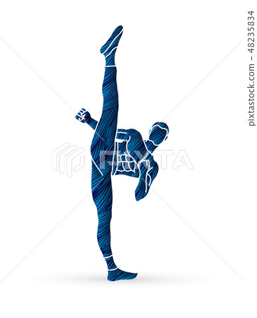 Kung fu Karate high kick front view graphic vector 48235834