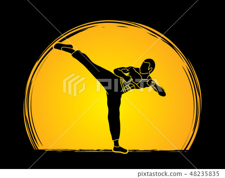 Kung fu, Karate kick graphic vector Kung fu, Karate kick graphic vector 48235835