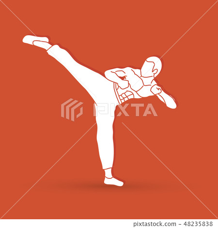 Kung fu, Karate kick graphic vector Kung fu, Karate kick graphic vector 48235838