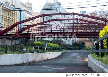 Yawata Bridge 48236130