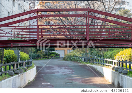 Yawata Bridge 48236131