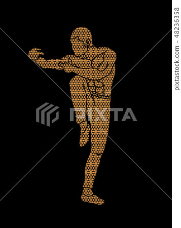 Drunken Kung fu pose graphic vector. 48236358