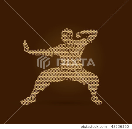 Kung fu action ready to fight vector Kung fu action ready to fight vector 48236360