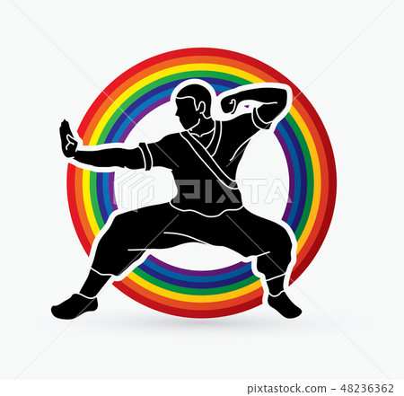 Kung fu action ready to fight vector 48236362
