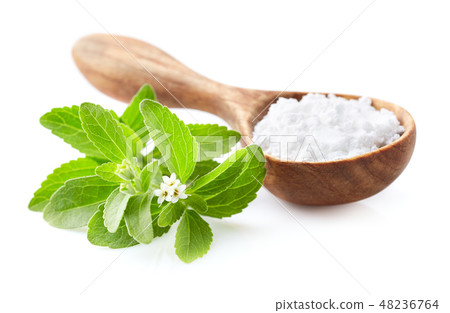 Stevia plant with powder Stevia plant with powder 48236764