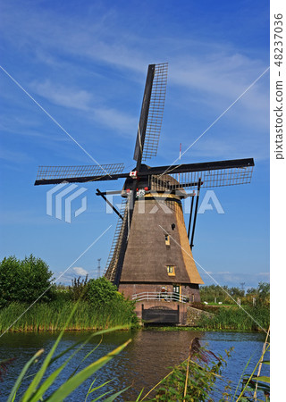 Dutch windmill 48237036