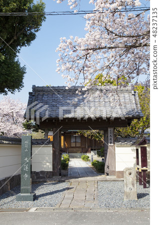 Odawara Daisenji 48237135
