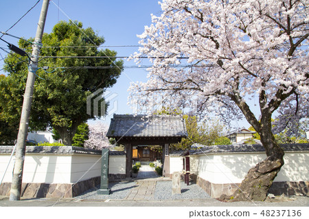 Odawara Daisenji 48237136