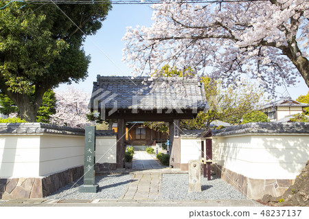 Odawara Daisenji Odawara Daisenji 48237137