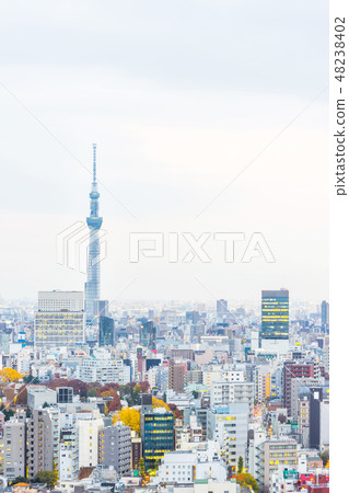 panoramic city skyline night view in Tokyo, Japan panoramic city skyline night view in Tokyo, Japan 48238402