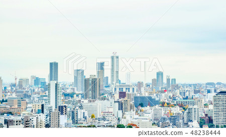 panoramic city skyline night view in Tokyo, Japan panoramic city skyline night view in Tokyo, Japan 48238444