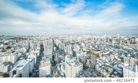 panoramic city skyline night view in Tokyo, Japan 48238475