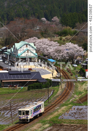 Sakura Bloom Yamaoka Station和Ming Train Sakura Bloom Yamaoka Station和Ming Train 48238687