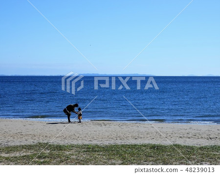 在海灘彎曲的“孫子和祖母”的風景 在海灘彎曲的“孫子和祖母”的風景 48239013
