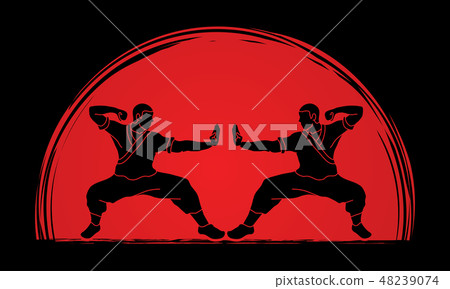 Kung fu action ready to fight vector 48239074