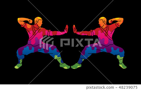Kung fu action ready to fight vector 48239075