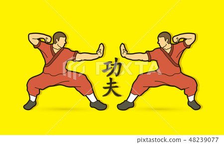 Kung fu action ready to fight designed graphic  48239077