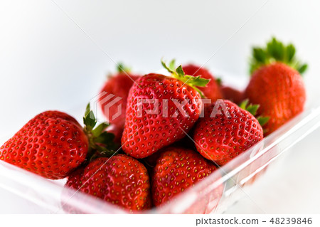 Strawberry Strawberry 48239846