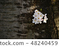 花 48240459