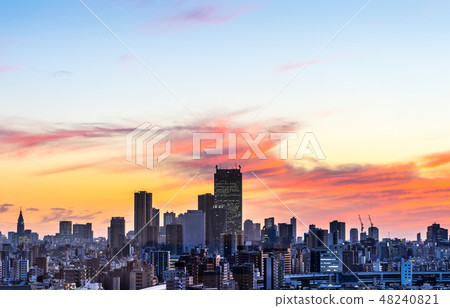 city skyline night aerial view in Tokyo, Japan 48240821