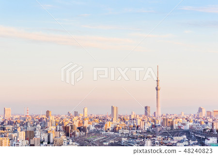 city skyline night aerial view in Tokyo, Japan 48240823