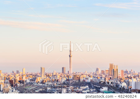 city skyline night aerial view in Tokyo, Japan 48240824
