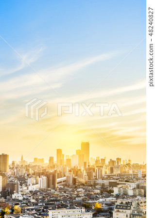 city skyline aerial view in Tokyo, Japan 48240827