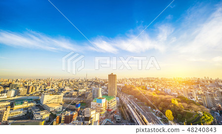 city skyline aerial view in Tokyo, Japan 48240843