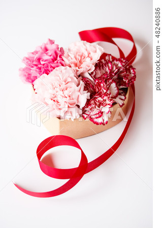 Mother's Day gift 48240886