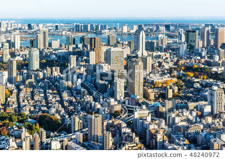 panoramic city skyline aerial view in Tokyo, Japan 48240972