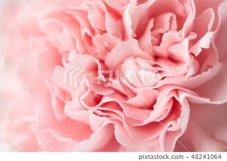 Mother's Day gift 48241064