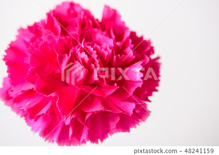 Mother's Day gift Mother's Day gift 48241159