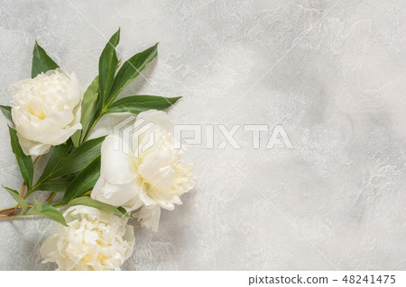 Bouquet of white peony flowers on vintage table.  48241475